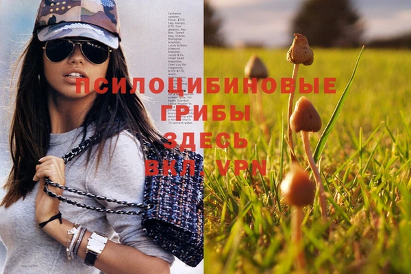 соль курить ск Абдулино